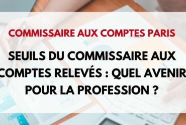 Seuils du commissaire aux comptes relevés : Quel avenir pour la profession ?