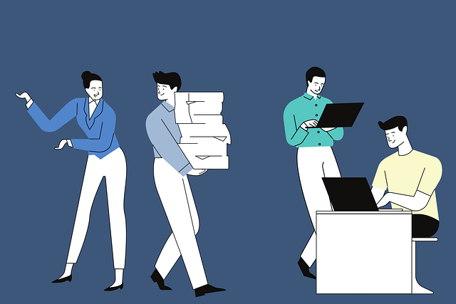 commissaire aux apports en ligne